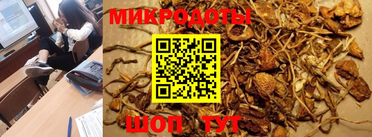 Псилоцибиновые грибы Psilocybine cubensis  купить   Камень-на-Оби  Вход с VPN 