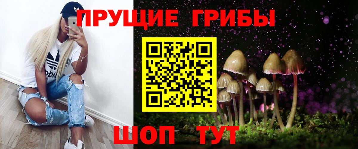 Псилоцибиновые грибы прущие грибы Камень-на-Оби